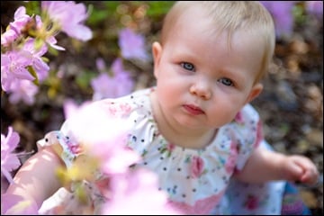 baby sitting in flowers at brookside gardens