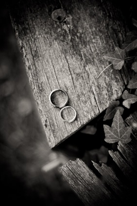 wedding rings  at Mt. Airy Mansion in Upper Marlboro Maryland