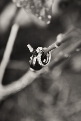 Close up of wedding rings in Mechanicsville MD