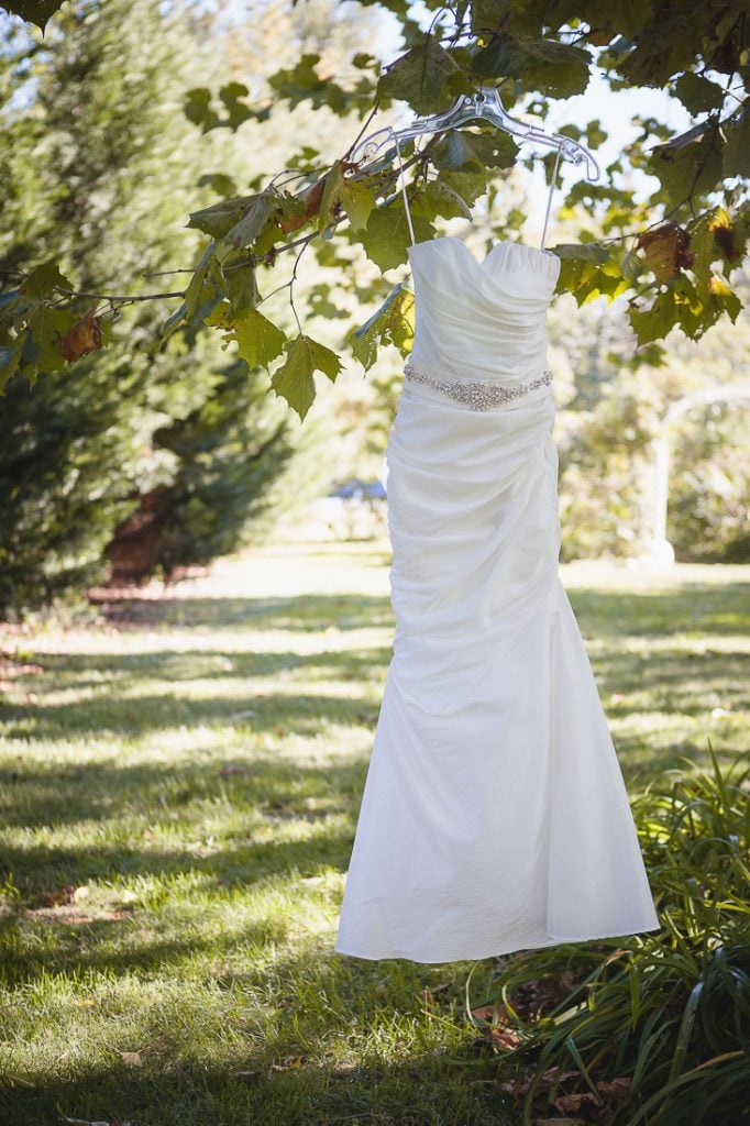 wedding-dress-in-lone-field