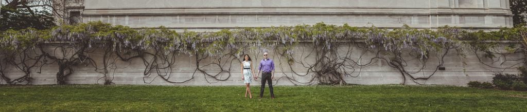 Panoramic image of an engaged couple in front of a wall of flowers in DC.