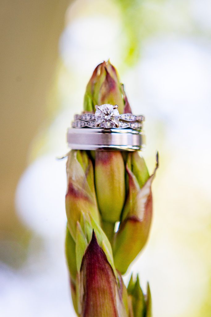 A wedding ring sitting on top of a flower at an Annapolis Wedding.