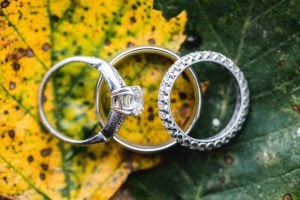 Maryland wedding photographer captures three wedding rings on a leaf.