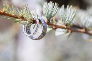 Two wedding rings delicately placed on a pine tree branch, showcasing the intricate details.