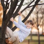 A boy is climbing a tree in a park during holidays.