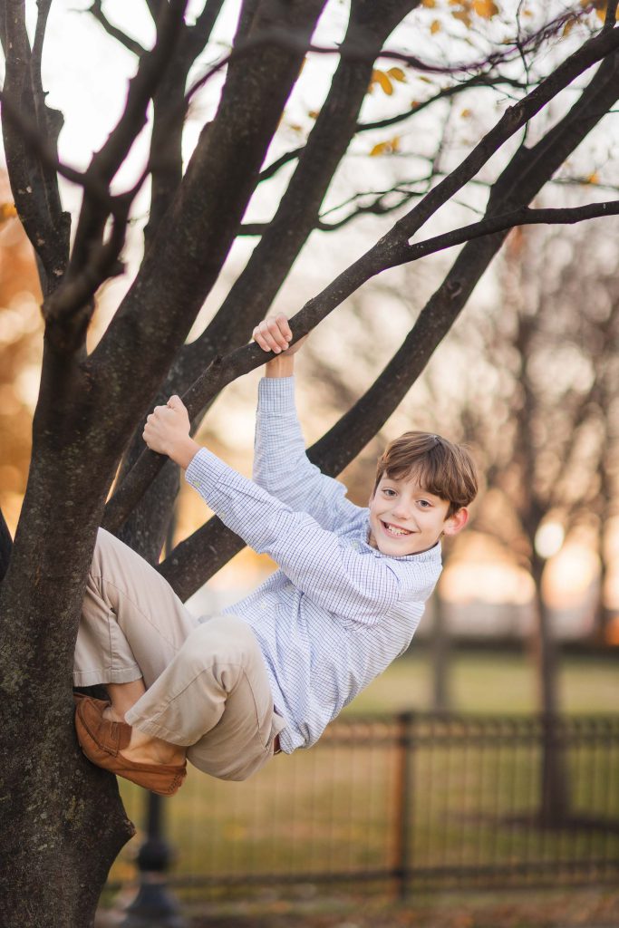 A boy is climbing a tree in a park during holidays.