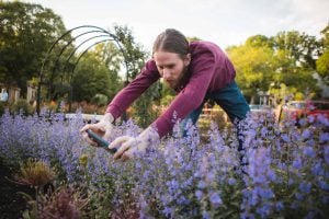 A man with a beard is taking a picture of flowers in Bonair Rose Garden, Arlington.