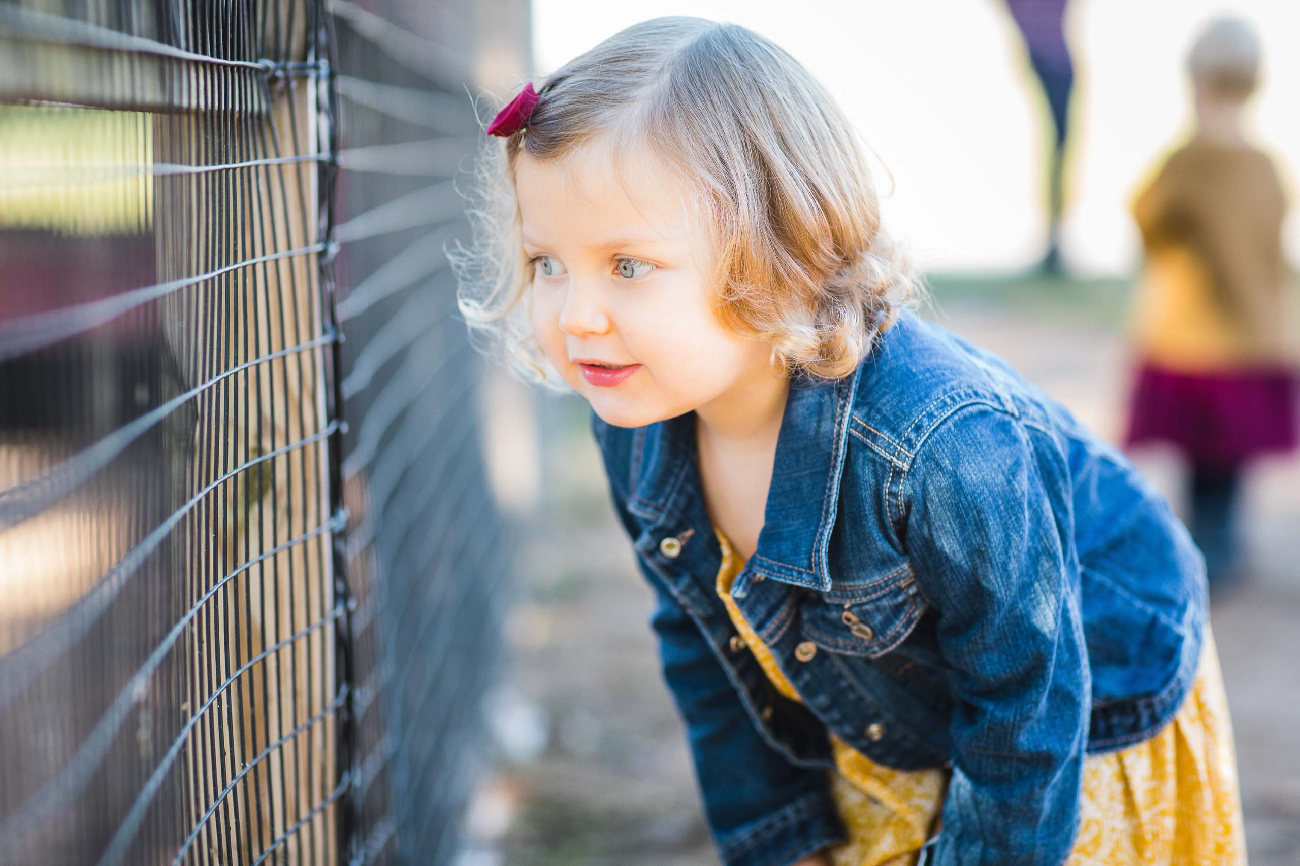 A little girl looking through a fence at Kinder Farm Park in Maryland.