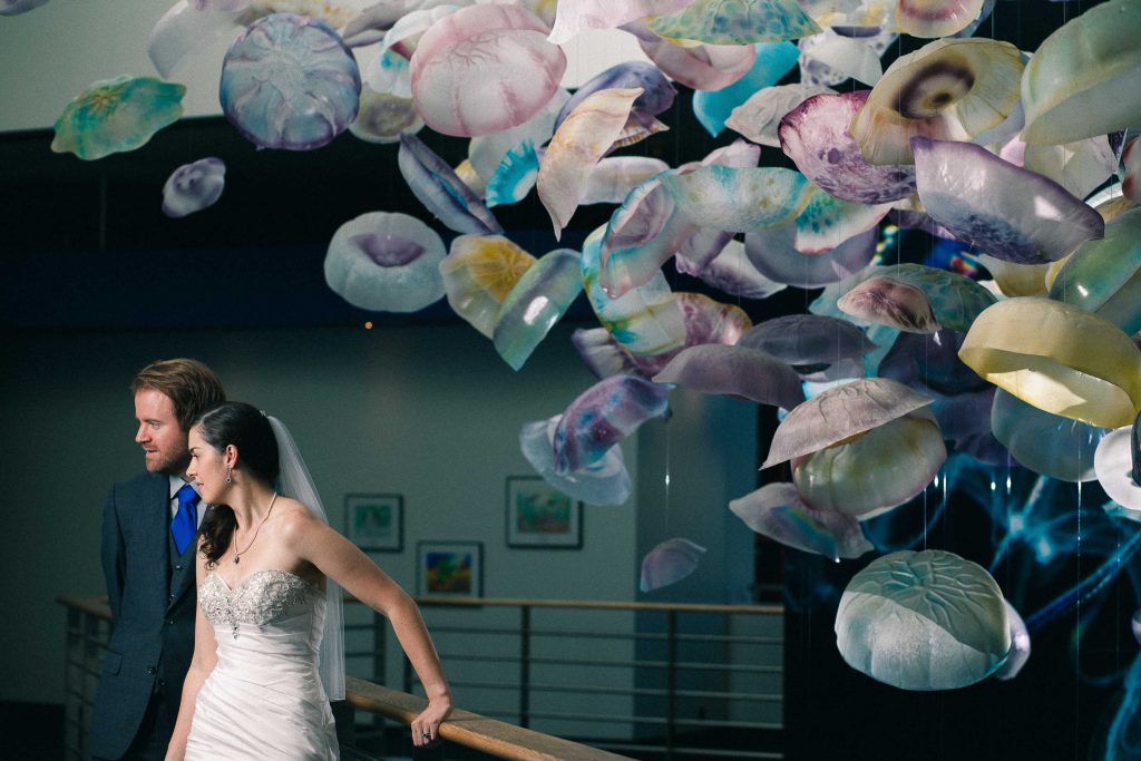 A bride and groom standing in front of hanging jellyfish at the National Aquarium in Baltimore, Maryland.