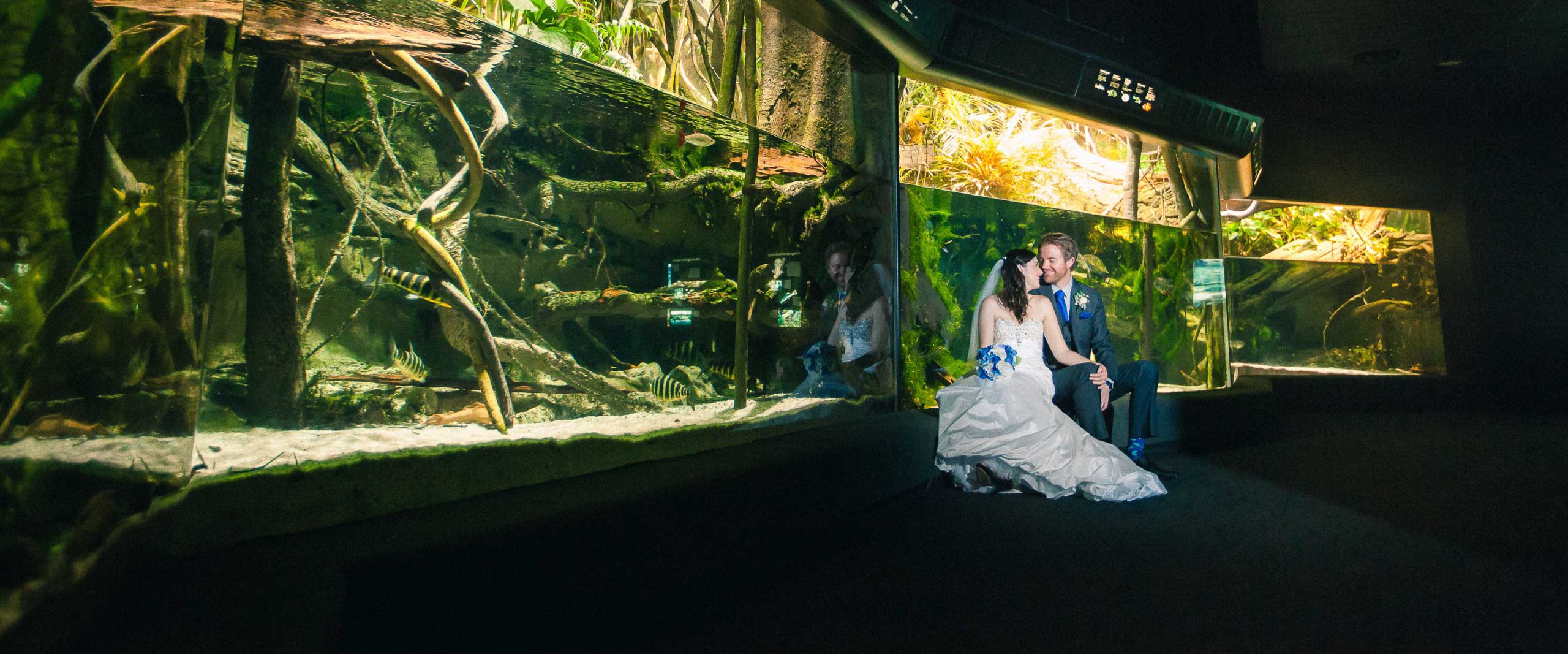 A bride and groom are posing in front of the National Aquarium.