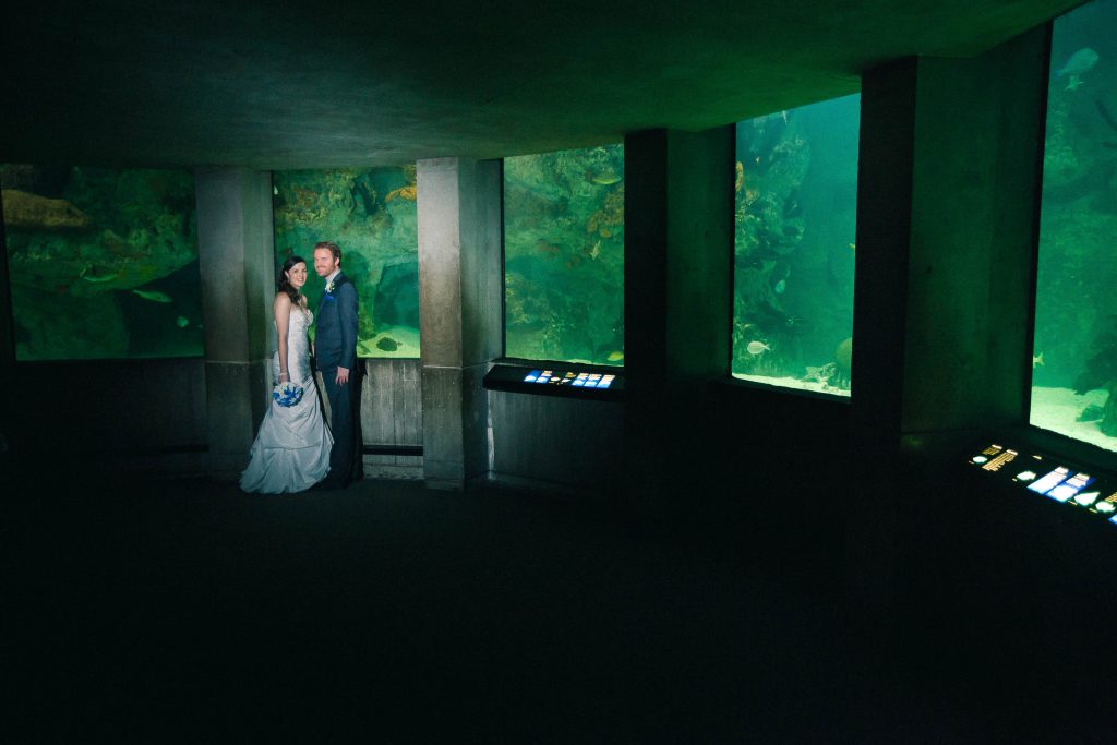 A bride and groom standing in front of the National Aquarium in Baltimore, Maryland.