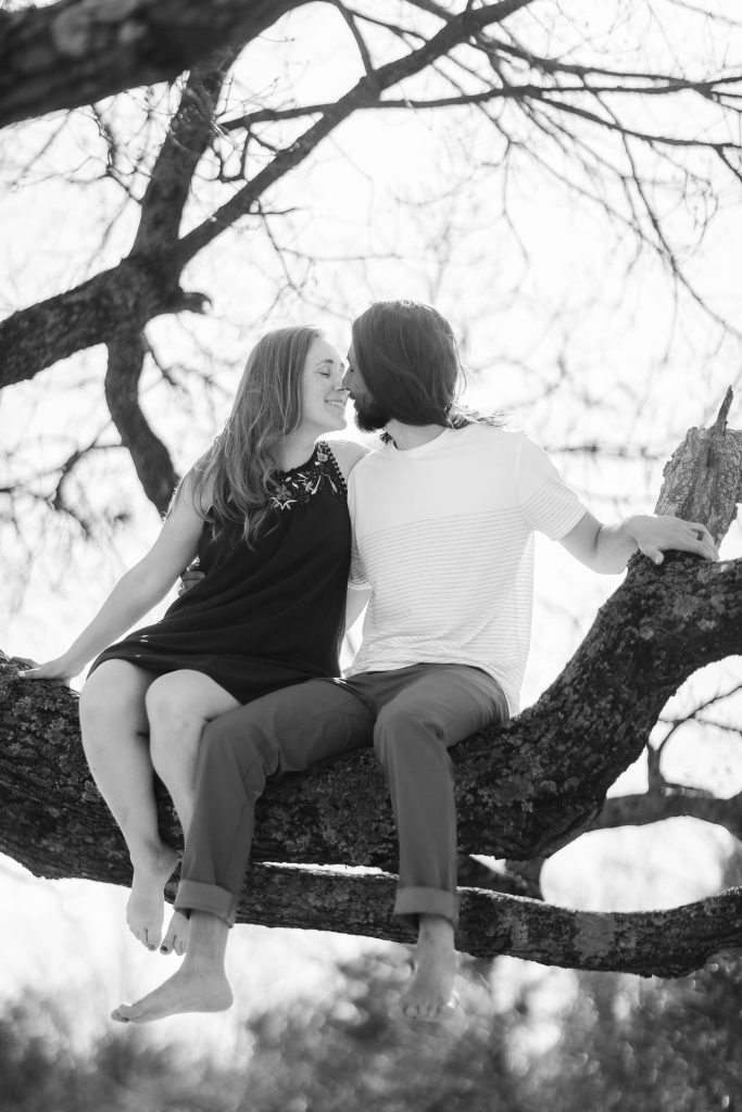 A black and white portrait of a couple kissing in a tree.