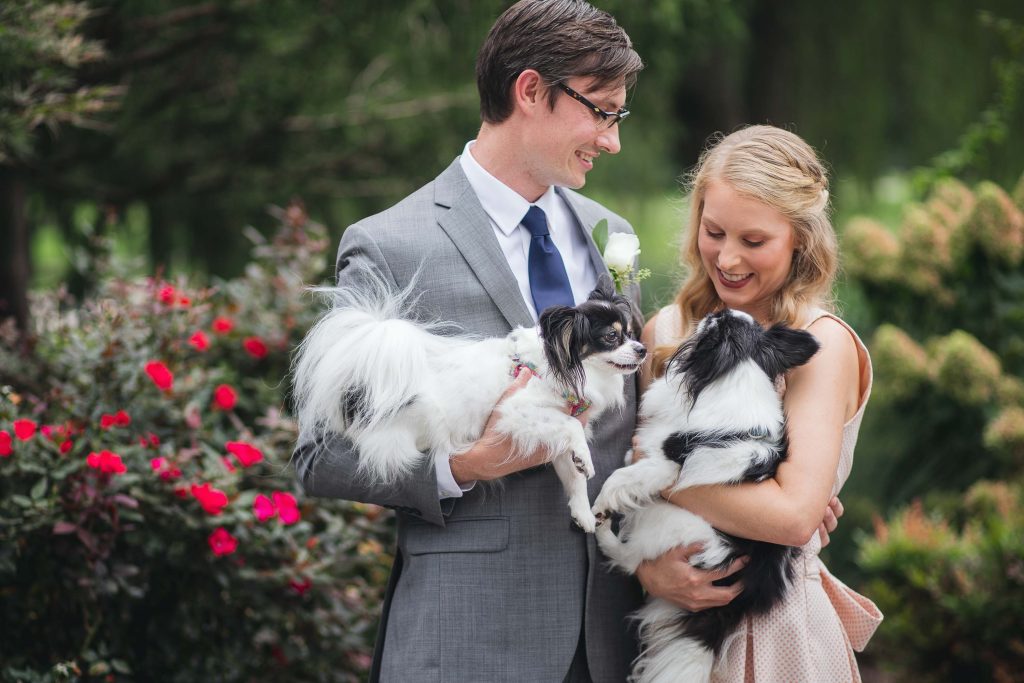 A bride and groom holding their dogs in the Turf Valley Resort garden in Ellicott City, Maryland.