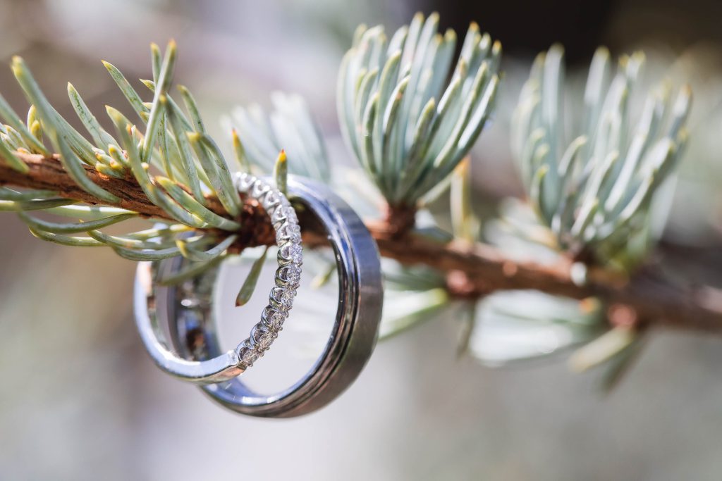 Two wedding rings on a branch of a pine tree at Fleetwood Farm Winery.