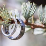 Two wedding rings on a branch of a pine tree at Fleetwood Farm Winery.
