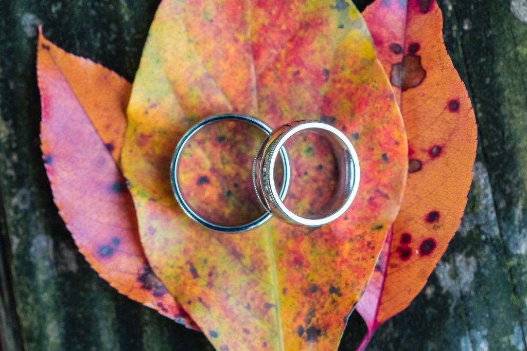Two intricately designed wedding rings delicately placed on a bed of vibrant leaves.