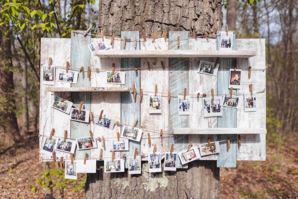 A wooden board with wedding pictures hanging on it in the woods.