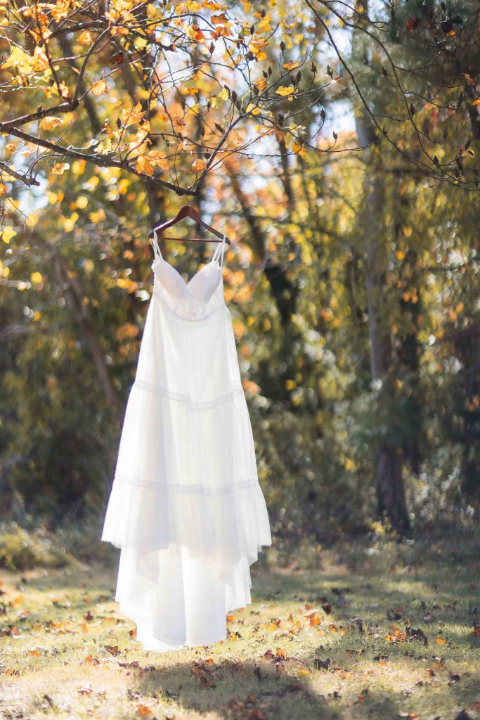 A white wedding dress hanging from a tree with beautiful fall foliage.