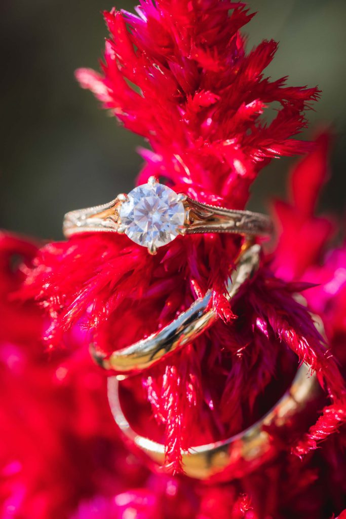 A detailed gold engagement ring rests on top of a vibrant red flower.