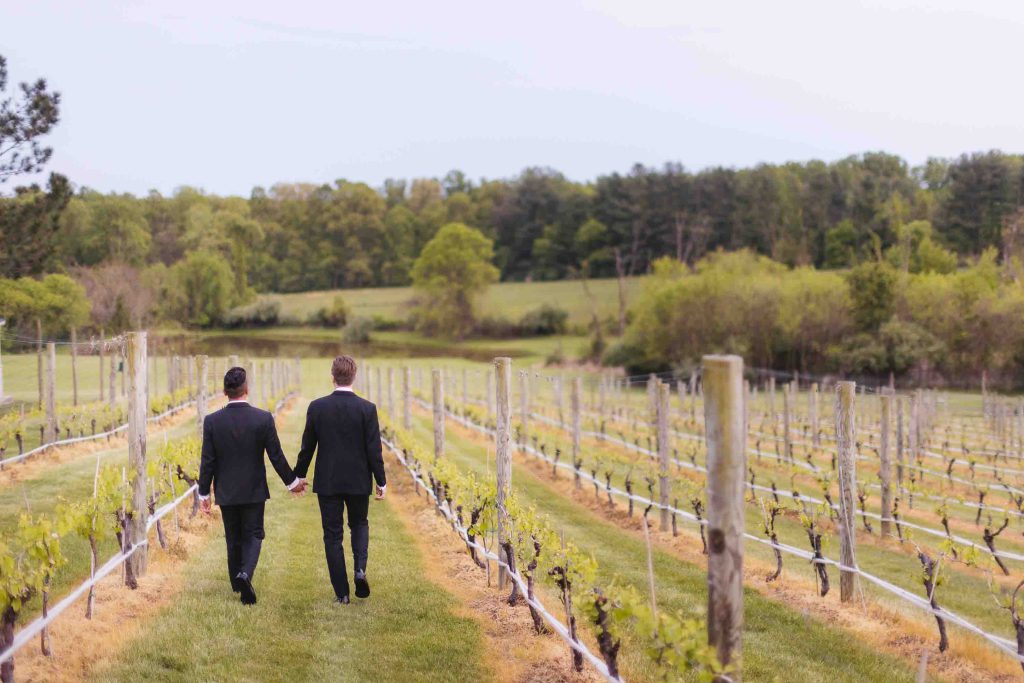 Two men in suits walking through a vineyard during a wedding.