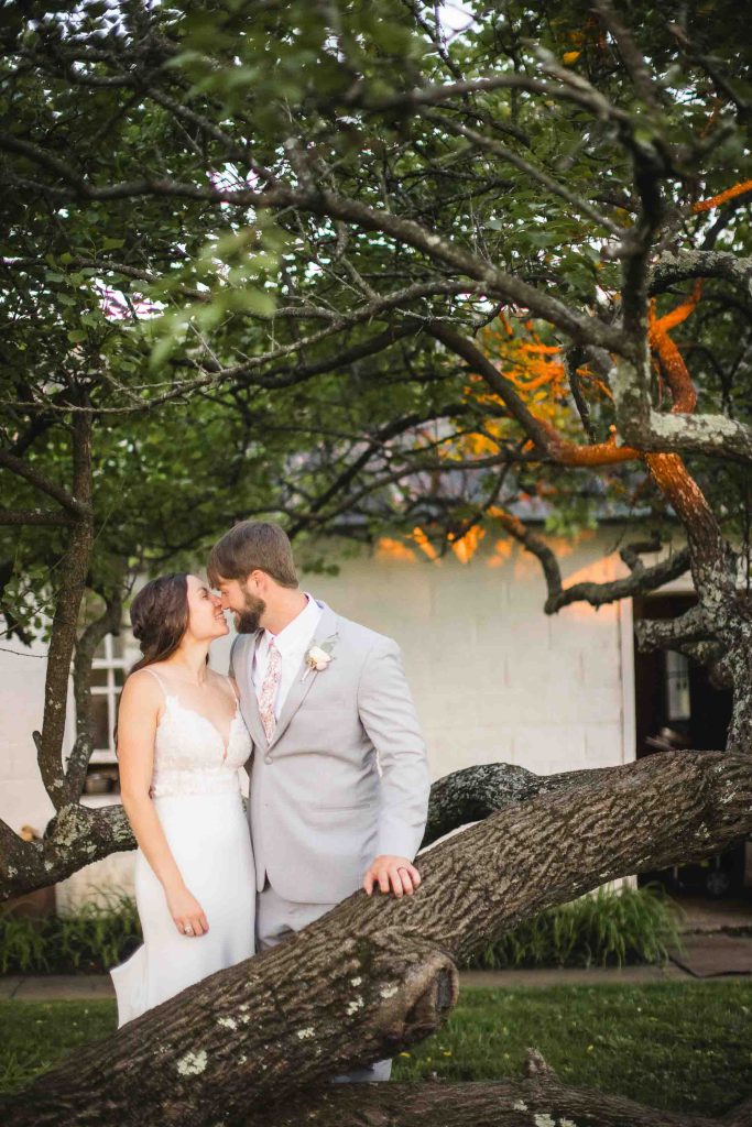 A wedding portrait of a bride and groom kissing in front of a tree.