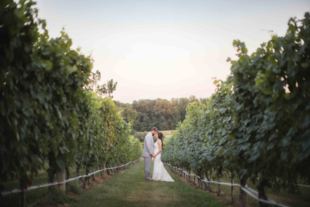 A wedding portrait of a bride and groom in a vineyard.