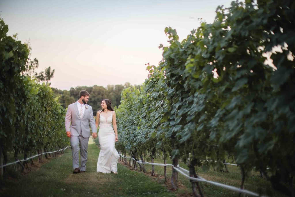 A wedding couple poses for a portrait in a vineyard at sunset.