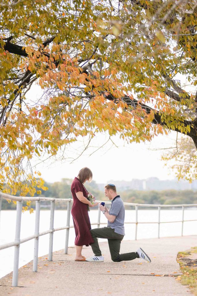 A couple kneels under a tree at the Tidal Basin for a surprise wedding proposal.