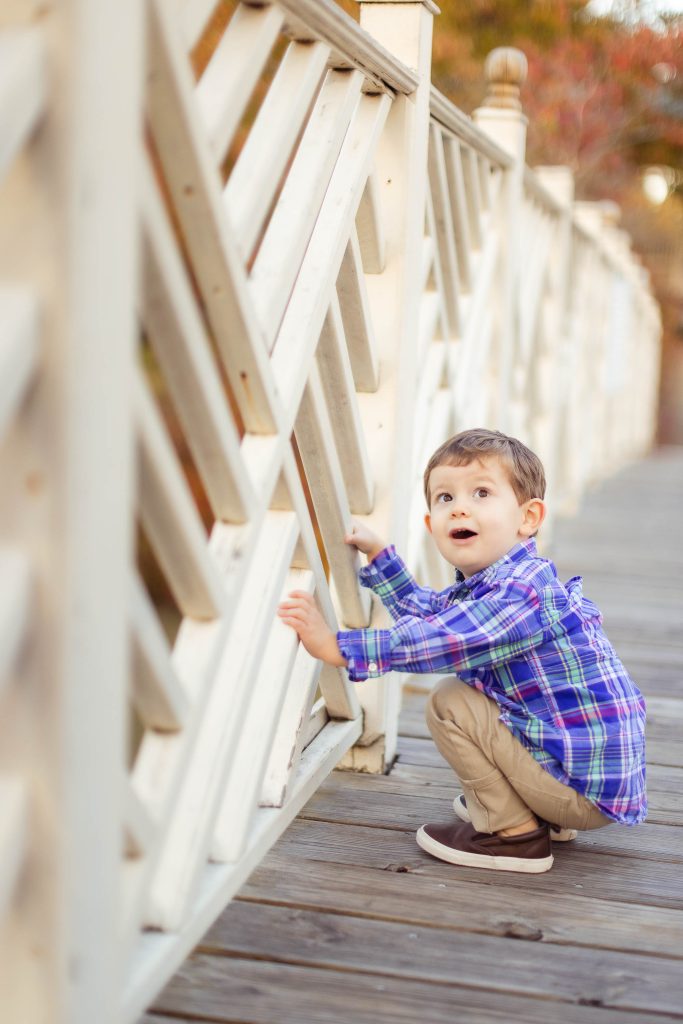A young boy leaning over a wooden bridge at Quiet Waters Park.