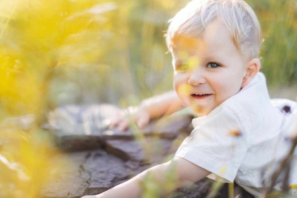 A baby is playing in a field of yellow flowers at Quiet Waters Park.
