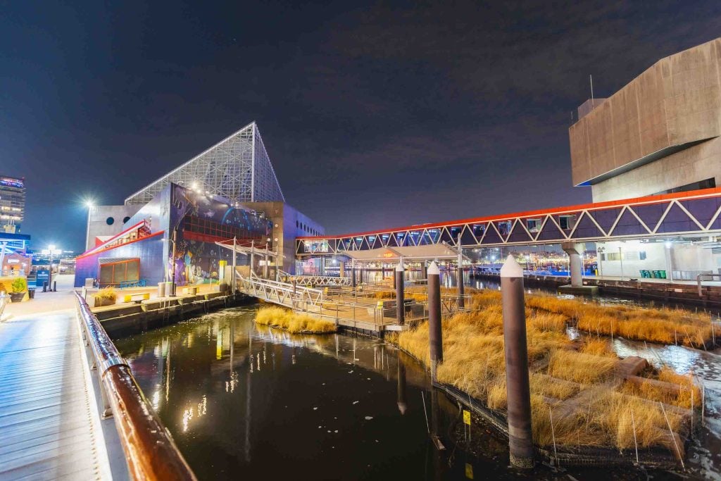 Night view of the National Aquarium in Baltimore featuring a striking glass pyramid roof, a red walkway bridge, and a waterway bordered by tall grasses and wooden posts in the foreground.