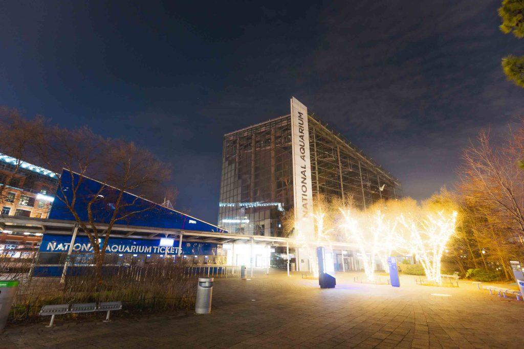 The exterior of the National Aquarium in Baltimore at night, with illuminated trees and glowing building signage, creates a captivating cityscape.