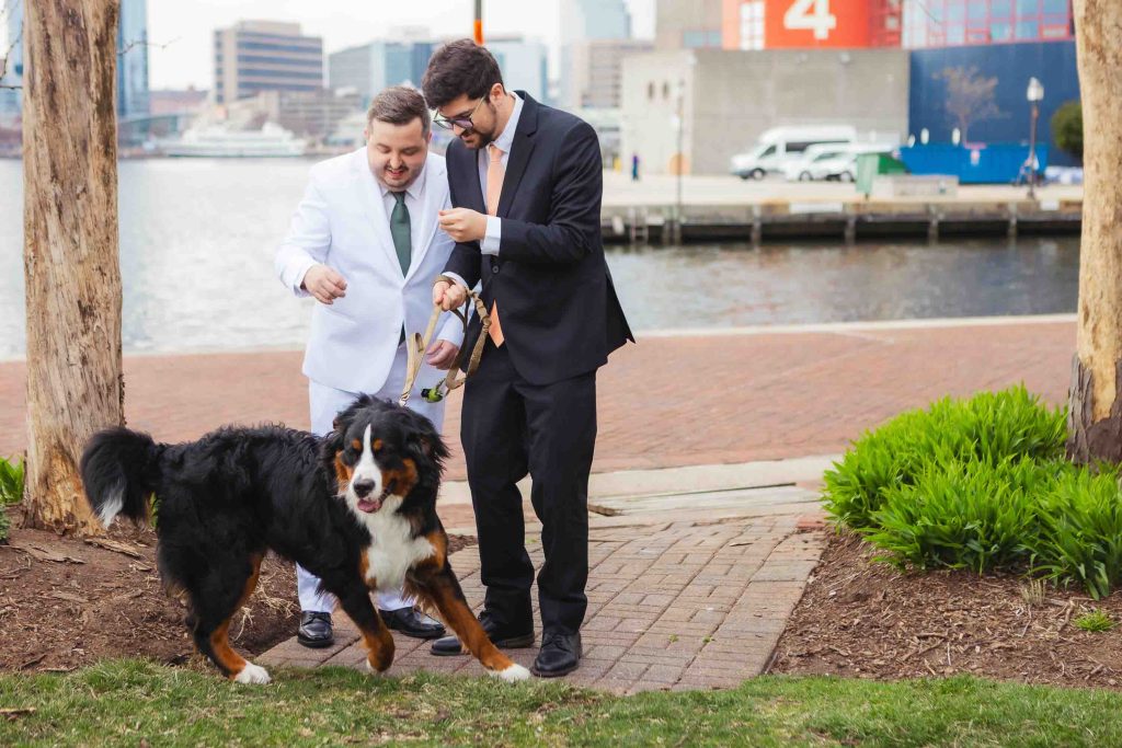 Two men, one in a white suit and one in a black suit, share a First Look at Pier 5 Hotel as they hold the leash of a large black dog near the waterfront, with city buildings forming the backdrop.