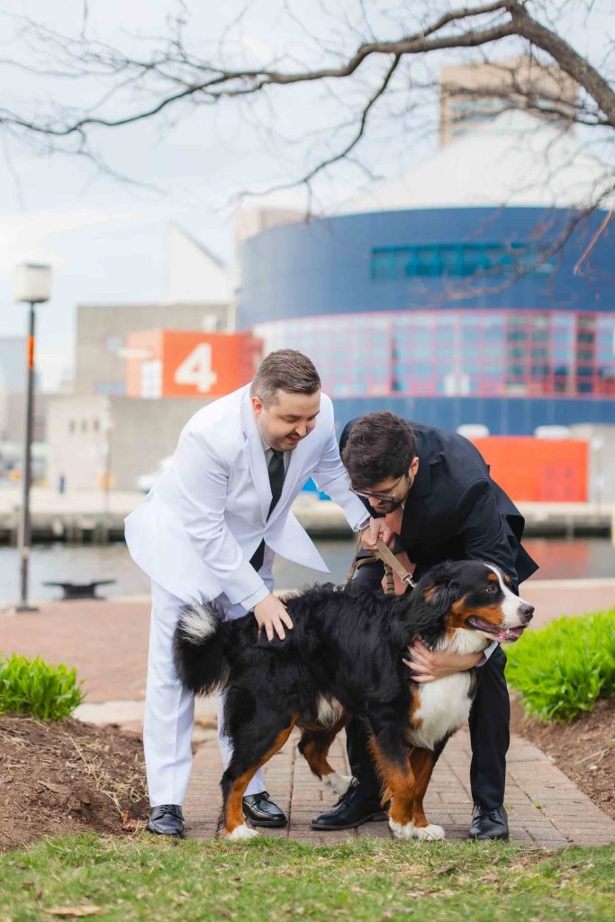 Two men in suits, one white and one black, pet a large black, brown, and white dog on a paved path in Baltimore’s urban outdoor setting.