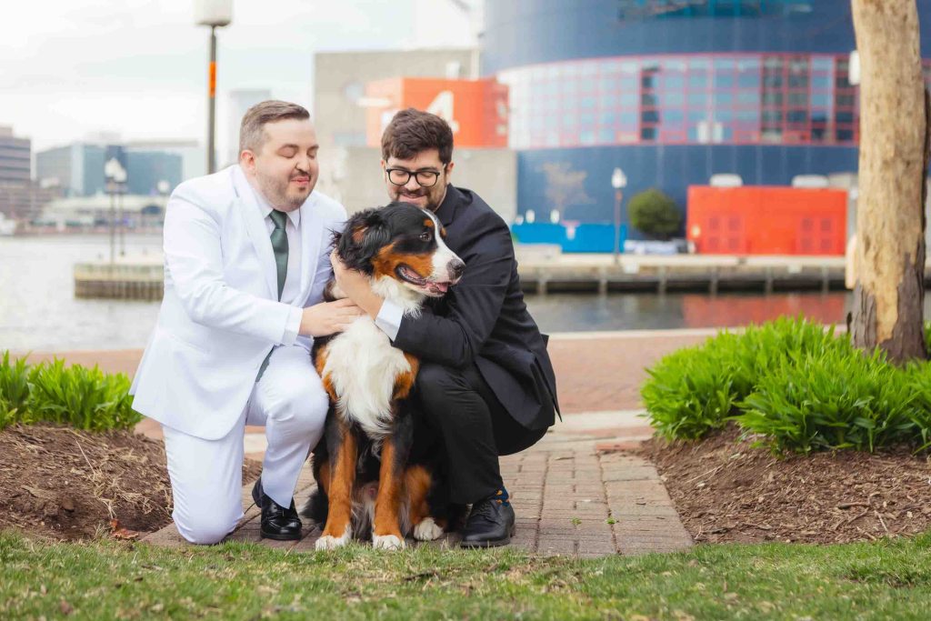 Two men, one in a white suit and one in a black suit, kneel outside on a path for their wedding First Look, smiling and petting a large Bernese Mountain Dog. Baltimore’s buildings and water are visible in the background.