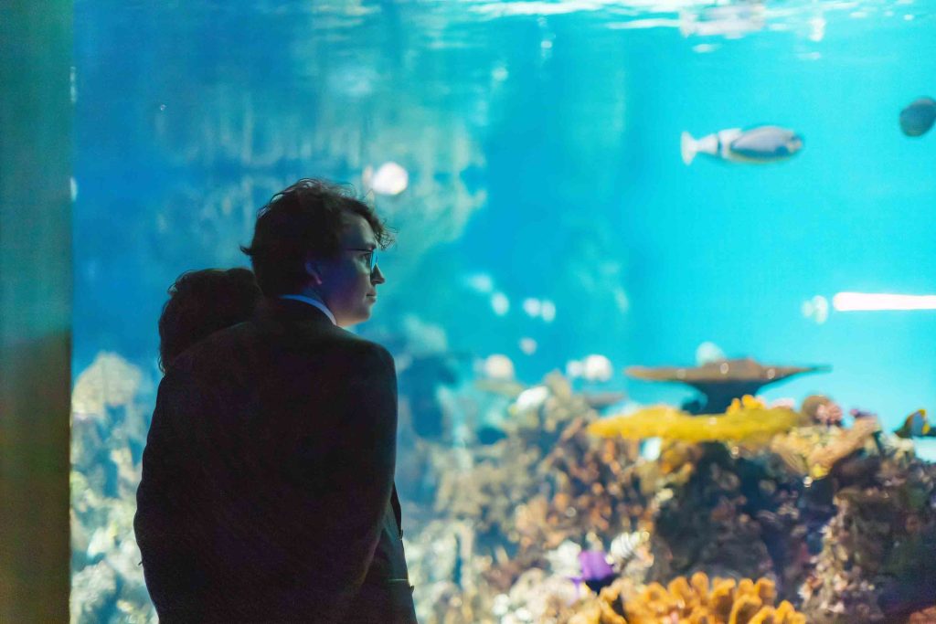 Two people in dark clothing stand closely together, observing fish and coral inside a large aquarium display at a wedding reception in Baltimore.