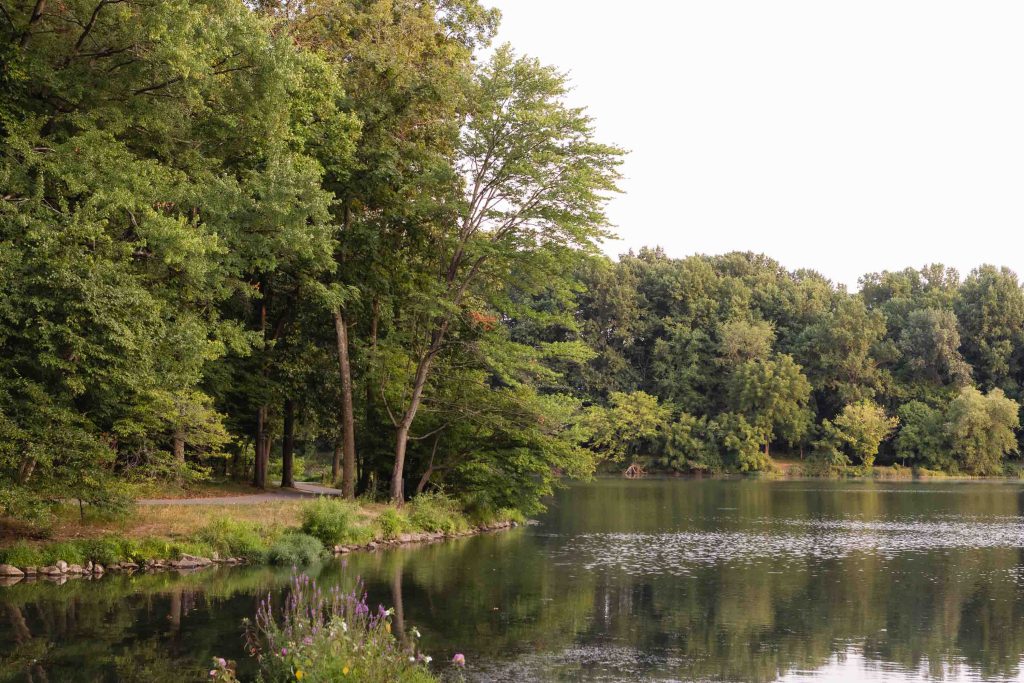 A tranquil Lake Elkhorn scene with dense green trees reflected in the water, a narrow path winding through the trees, and scattered wildflowers adorning the foreground.