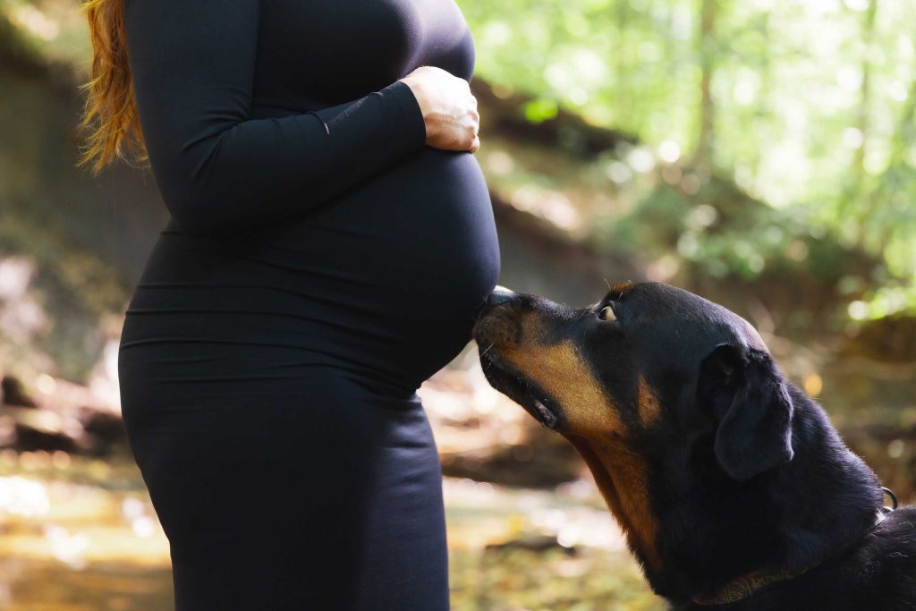A dog sniffs the belly of a pregnant person in a black dress during an outdoor maternity portrait, surrounded by lush greenery.